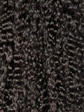 Virgin Tapes - Burmese Curly